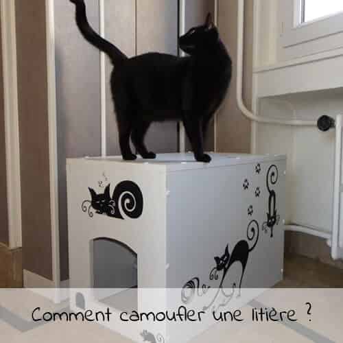 Comment camoufler une litière ?