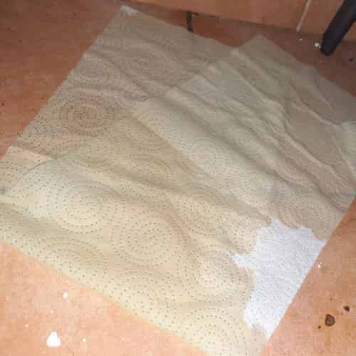 Quelle litière absorbe le mieux l’odeur de pipi ?