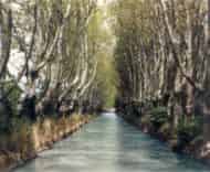 Arrosage