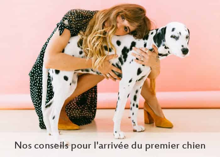 Premier chien ? Conseils de notre animalerie en ligne pour l'arrivée d'un chiot