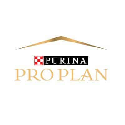 Pro Plan Purina chat