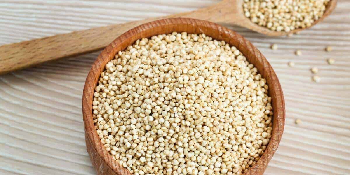Un chien peut-il manger du Quinoa ?