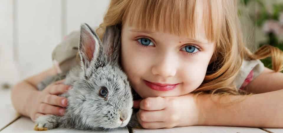 Quel rongeur choisir et adopter ?