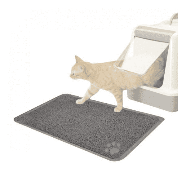 Quelle litière ne colle pas aux pattes du chat