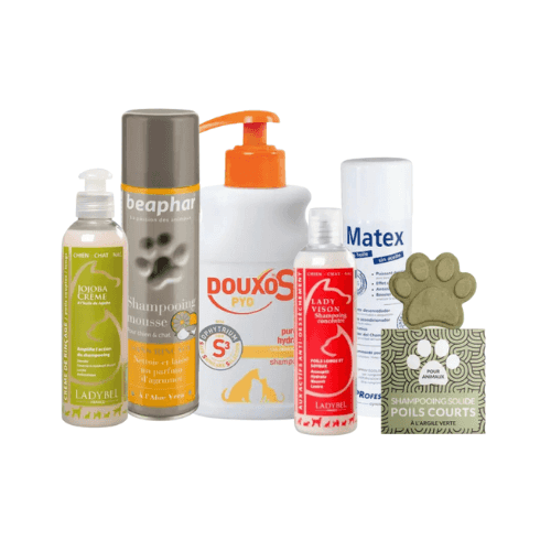 Shampoing pour chat et parfum