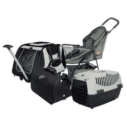 Voyage et transport du chat