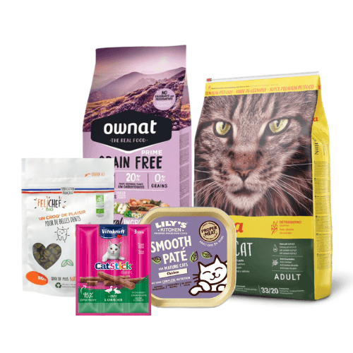 Nourriture pour chat