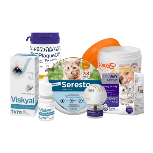 Soins et hygiène du chat