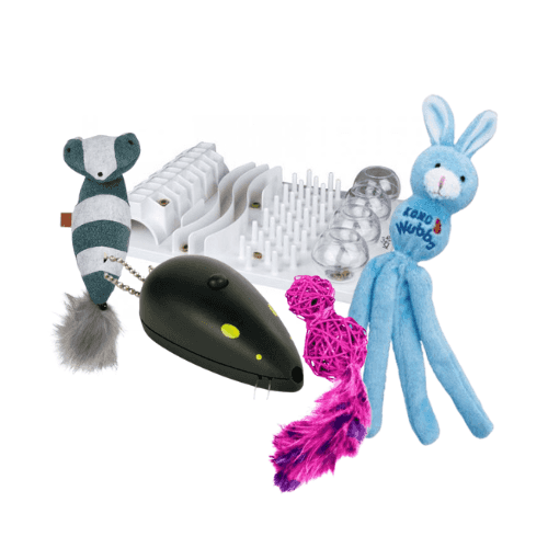 Jouets pour chat