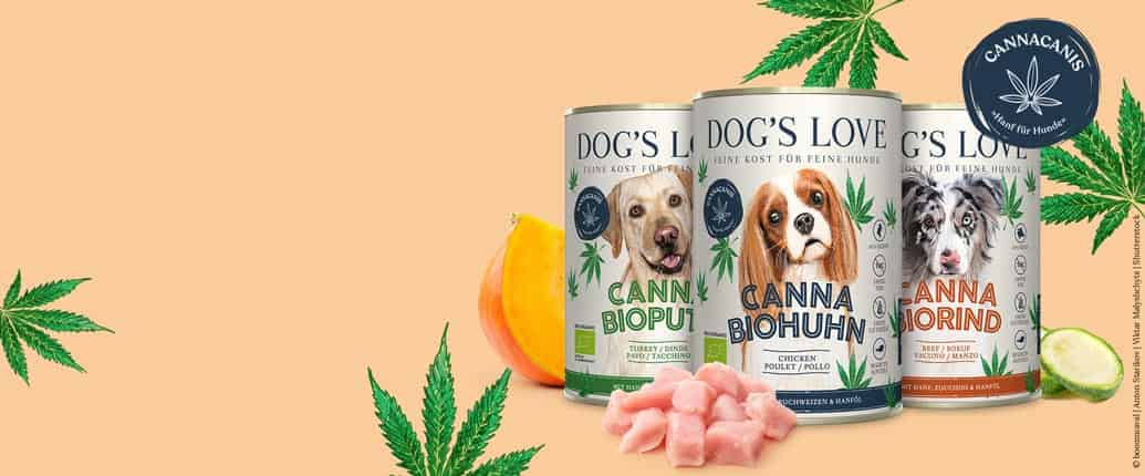 pâtée pour chien dog's love