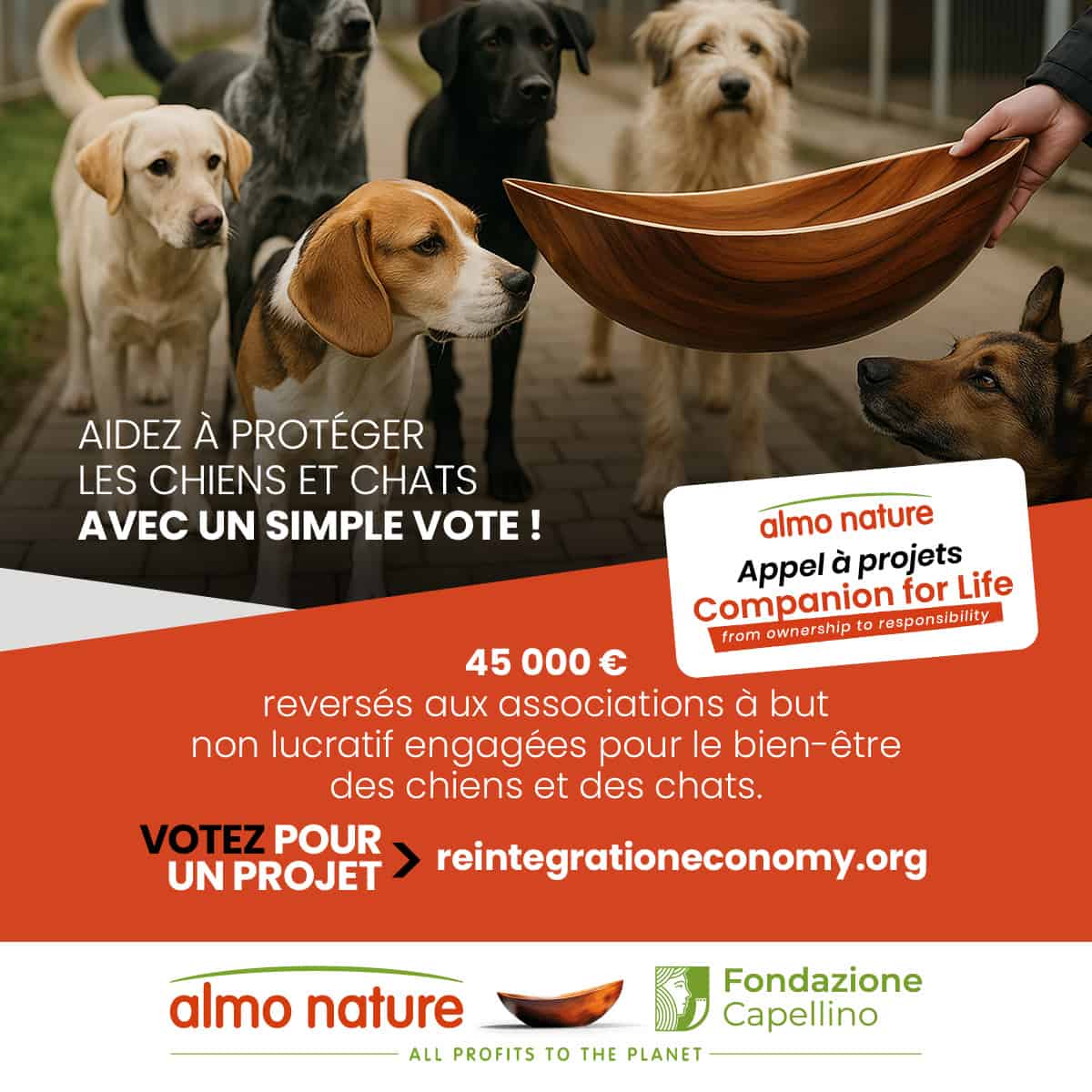 Appel à projets « Companion For Life » chien