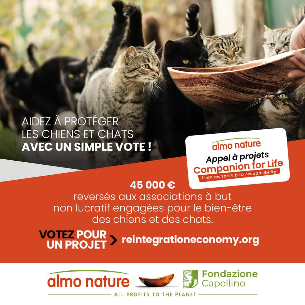 appel à projets « Companion For Life » chat