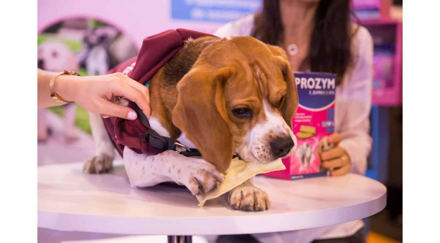 Les produits pour l'hygiène bucco-dentaire Proxym