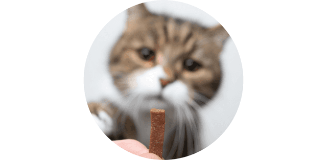 Friandises
