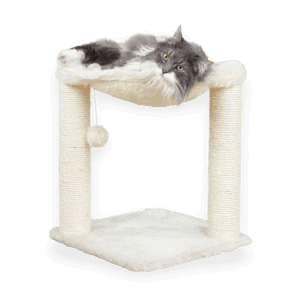 Arbre à chat