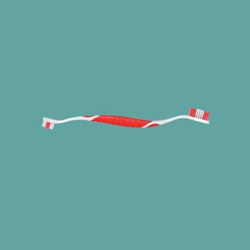Brosse à dents pour chat