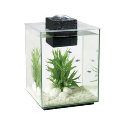 Aquarium carré / cube