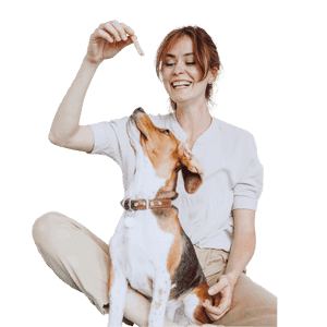 Friandise pour chien