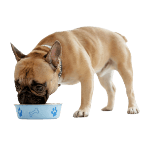 Croquettes pour chien stérilisé