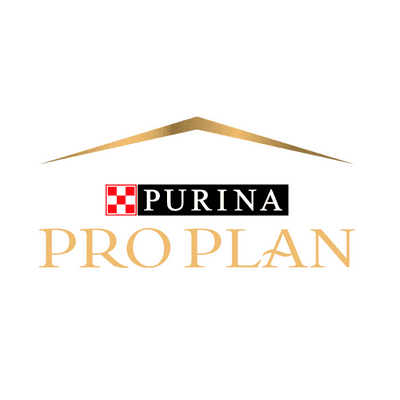Pro Plan