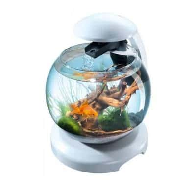 Aquarium rond