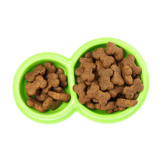 Croquettes chien