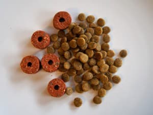 Croquettes ou boîtes, que choisir pour son chaton ?
