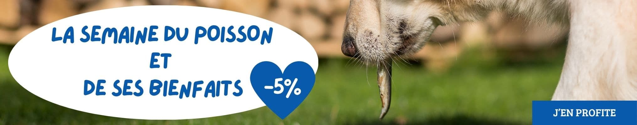 La semaine du Poisson et de ses bienfaits : Sélection d'aliments à base de poissons pour chiens & chats