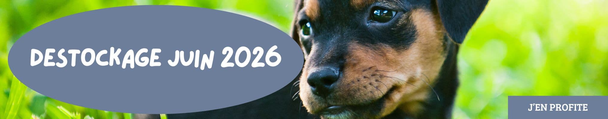 DÉSTOCKAGE JUIN 2026