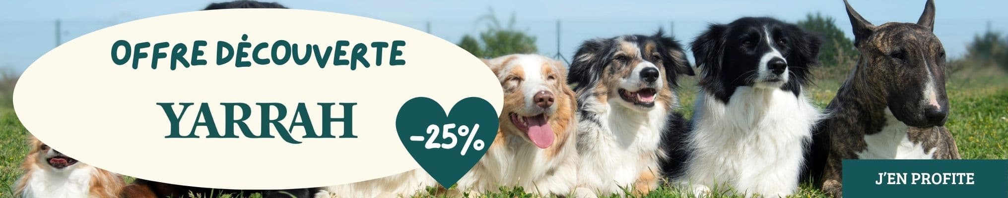 Yarrah : Offrez-lui le meilleur avec -25% !