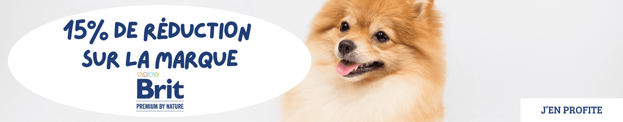 15% de réduction sur la marque : BRIT