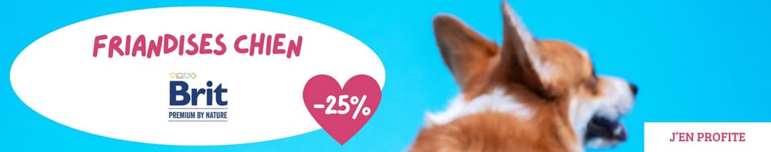 Brit : Friandises pour chiens à prix malin !