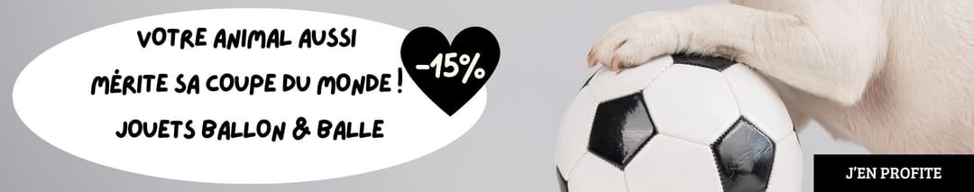 Coupe du Monde : -15% sur les ballons et balles !