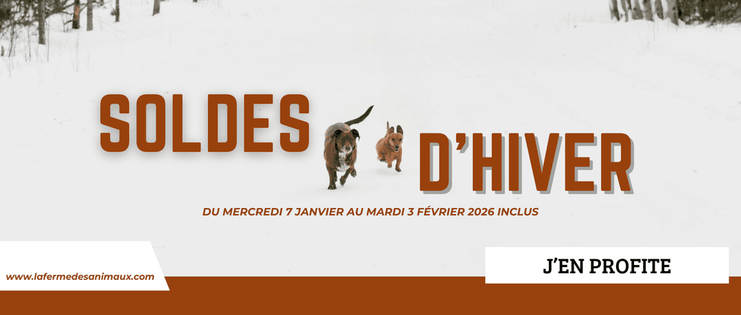 Soldes d'hiver 2026