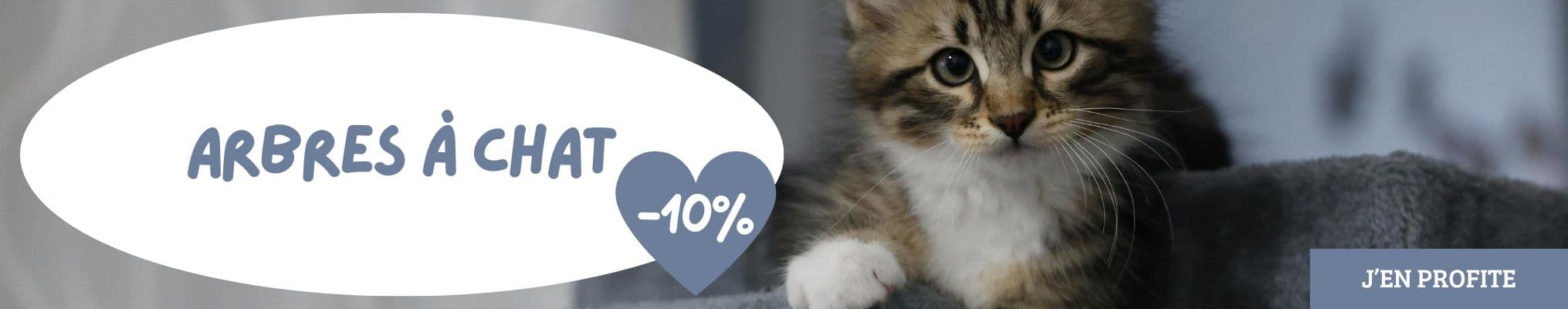 Arbres à chat en promotion : 10% de remise