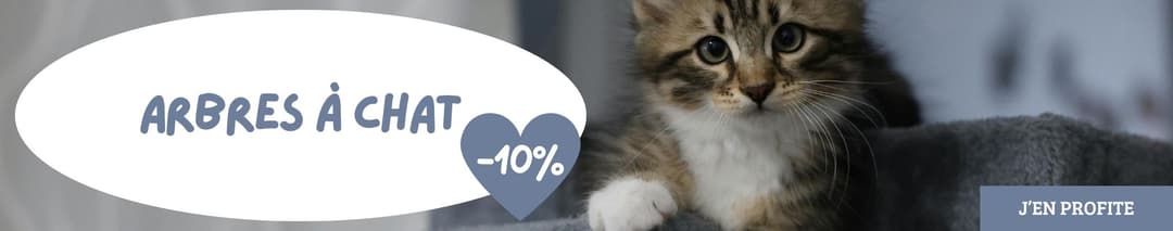 Arbres à chat en promotion : 10% de remise