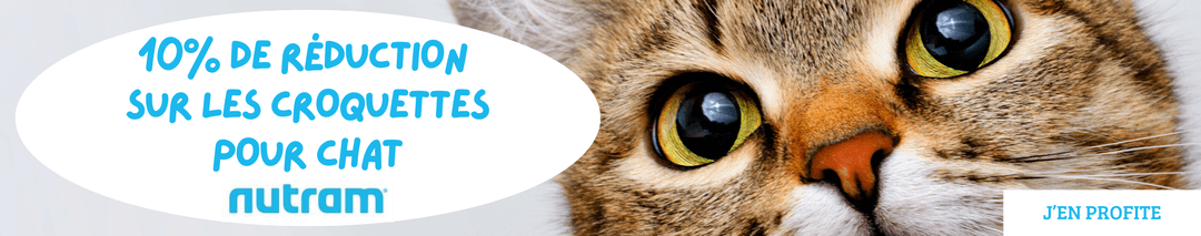 Bon plan : –10 % sur les croquettes Nutram pour chat