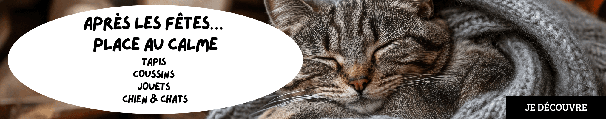 Après les fêtes… place au calme !