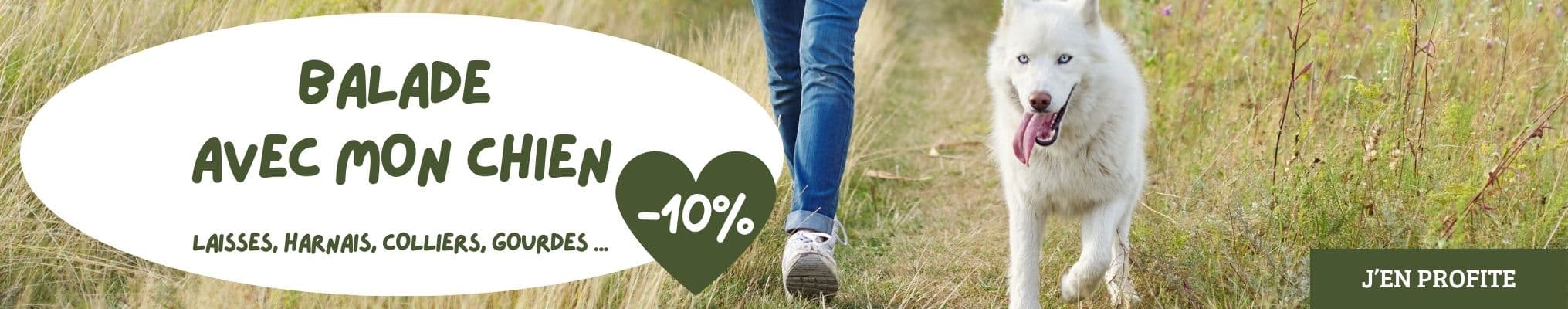 Balade avec mon chien : profitez de -10% !