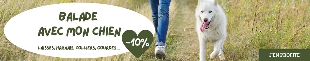 Balade avec mon chien : profitez de -10% !