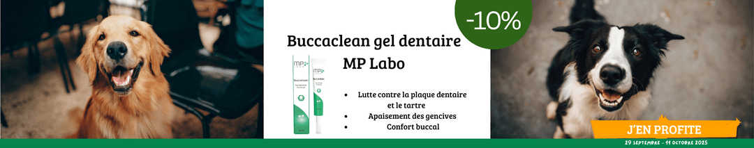 Buccaclean gel dentaire MP Labo : -10%