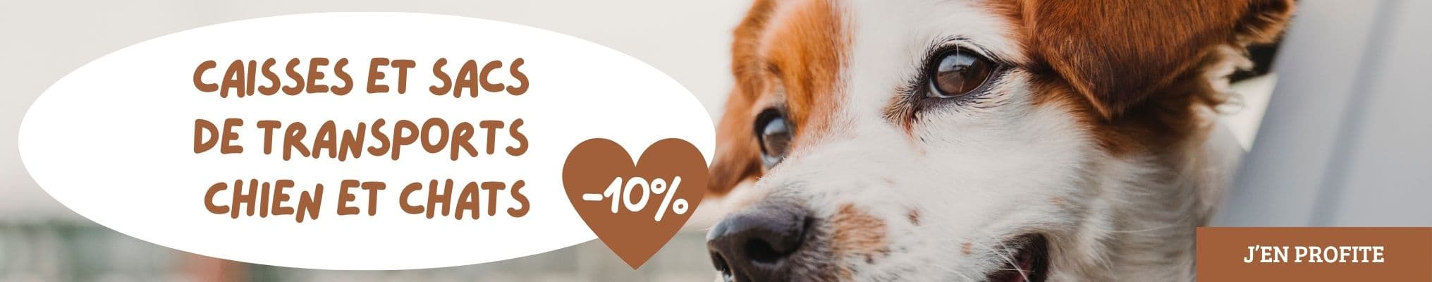 Caisses et sacs de transports chien et chats : 10% de remise