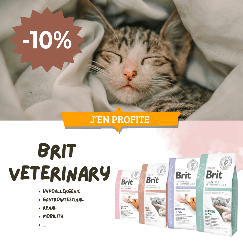 Santé et équilibre au quotidien – 10% de réduction sur la gamme Brit Vet !