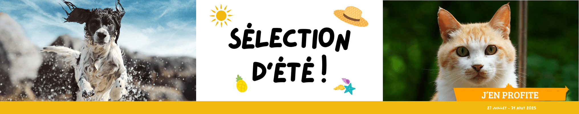 Sélection d’été : Produits rafraîchissants, Piscines, Selleries, Friandises de récompense, Glaces ...
