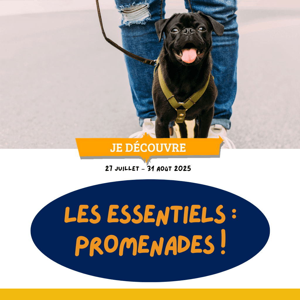 Les essentiels : Promenades
