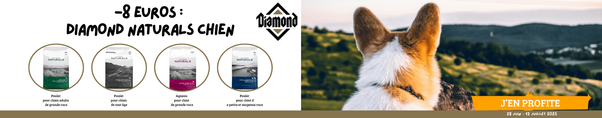 -8 euros :  Diamond Naturals Chien