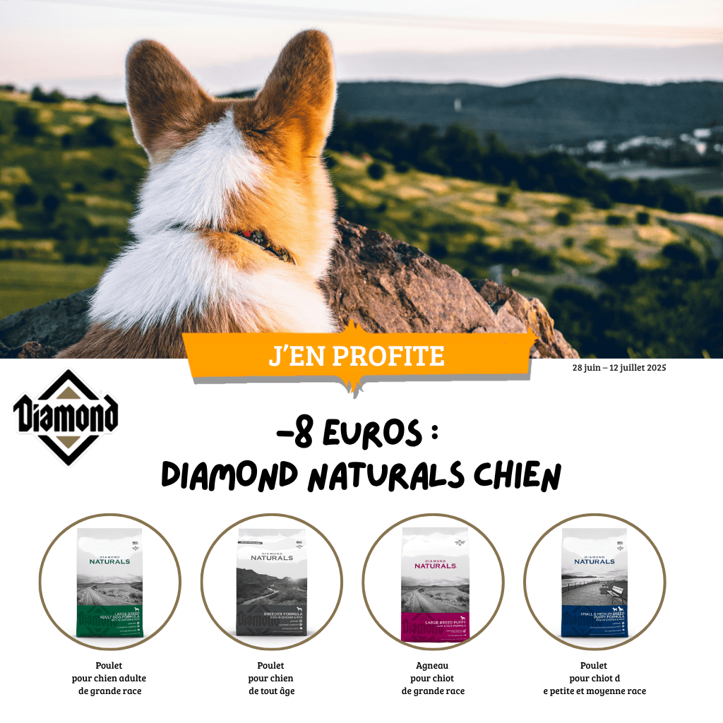-8 euros :  Diamond Naturals Chien