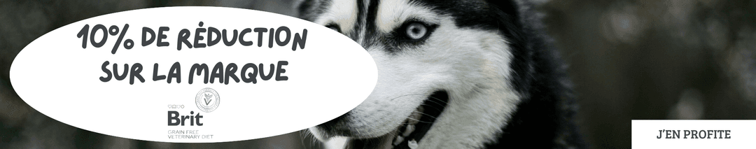 Brit Vet pour chien : -10%
