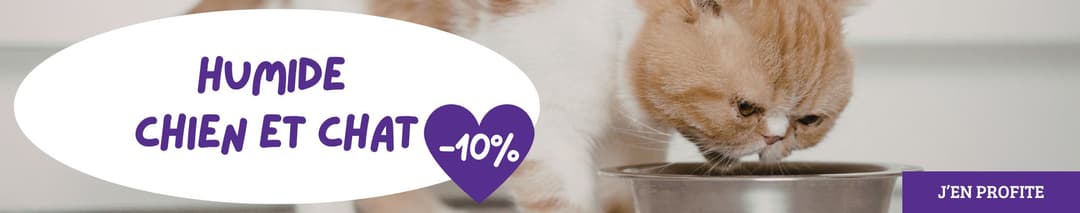 Humide chien et chat : profitez de 10 % de remise sur toute notre sélection d’alimentation humide pour vos compagnons
