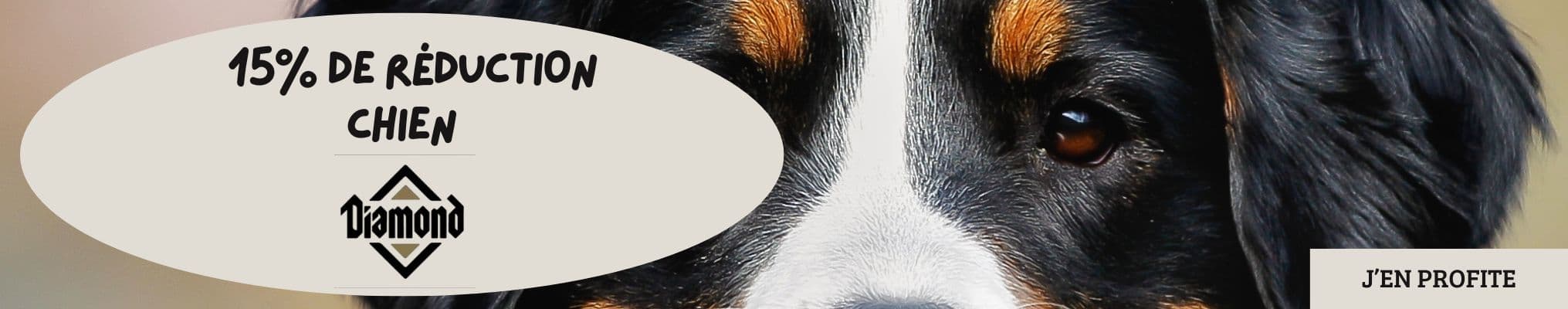 Bon Plan du Moment : Diamonds pour Chien -15% !